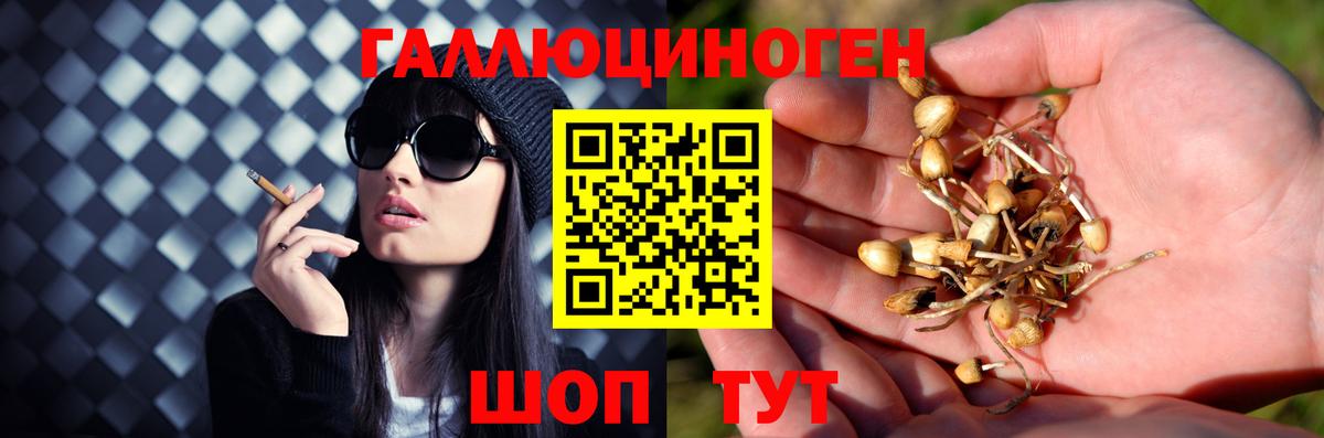 Корсаков  Псилоцибиновые грибы ЛСД  Вход с VPN 